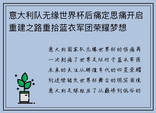意大利队无缘世界杯后痛定思痛开启重建之路重拾蓝衣军团荣耀梦想